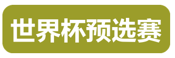 世界杯预选赛